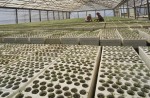 La loi sur le droit d'alerte en matière sanitaire et environnementale est parue