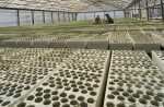 ZFU&#x20;&#x3A;&#x20;l&amp;&#x23;8217&#x3B;exon&#x00E9;ration&#x20;est&#x20;subordonn&#x00E9;e&#x20;&#x00E0;&#x20;l&amp;&#x23;8217&#x3B;embauche&#x20;de&#x20;salari&#x00E9;s&#x20;issus&#x20;de&#x20;ces&#x20;zones